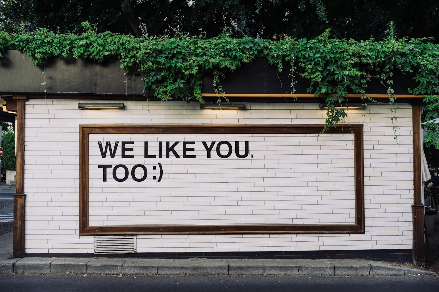 88BOZ: A Brand That Understands You